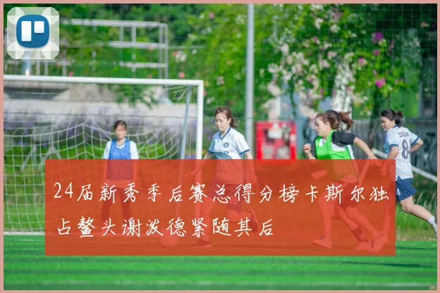 24届新秀季后赛总得分榜卡斯尔独占鳌头谢泼德紧随其后