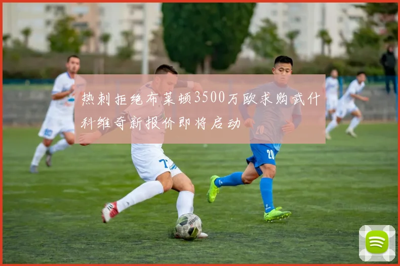 热刺拒绝布莱顿3500万欧求购武什科维奇新报价即将启动