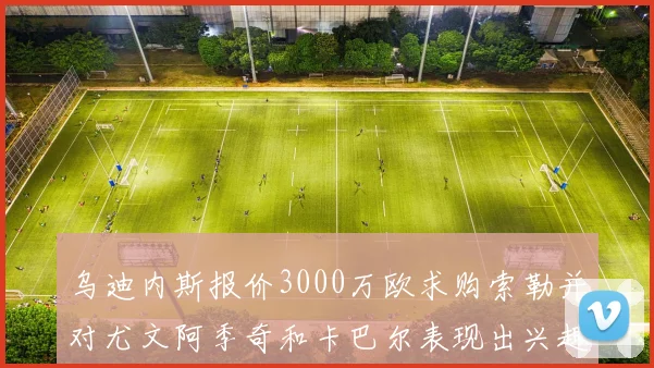 乌迪内斯报价3000万欧求购索勒并对尤文阿季奇和卡巴尔表现出兴趣