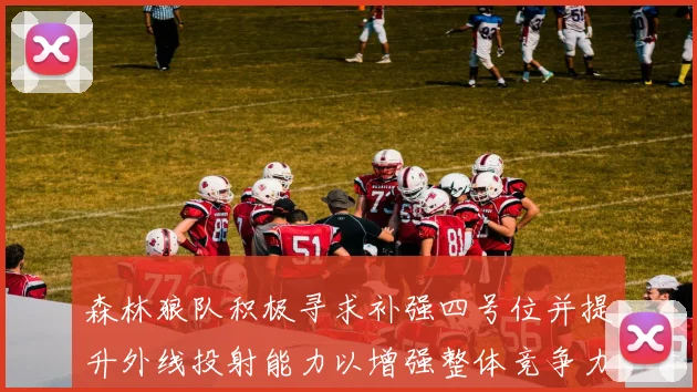 森林狼队积极寻求补强四号位并提升外线投射能力以增强整体竞争力