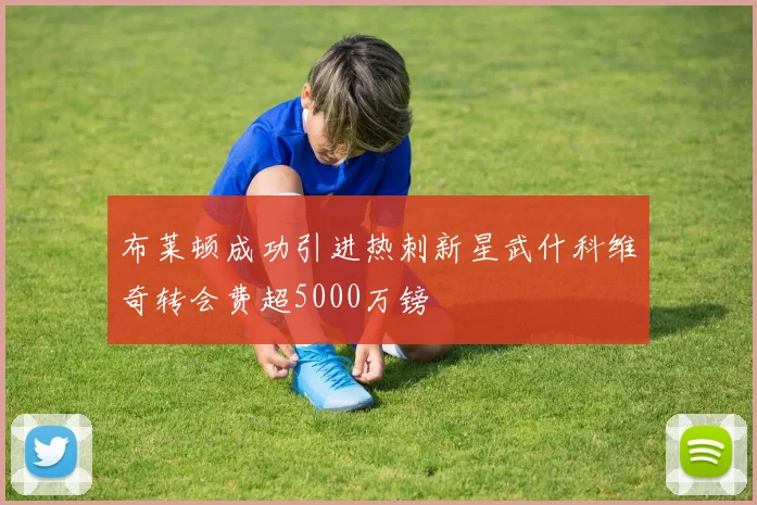 布莱顿成功引进热刺新星武什科维奇转会费超5000万镑